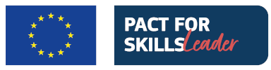 pact for skills leader - initiative European Commission